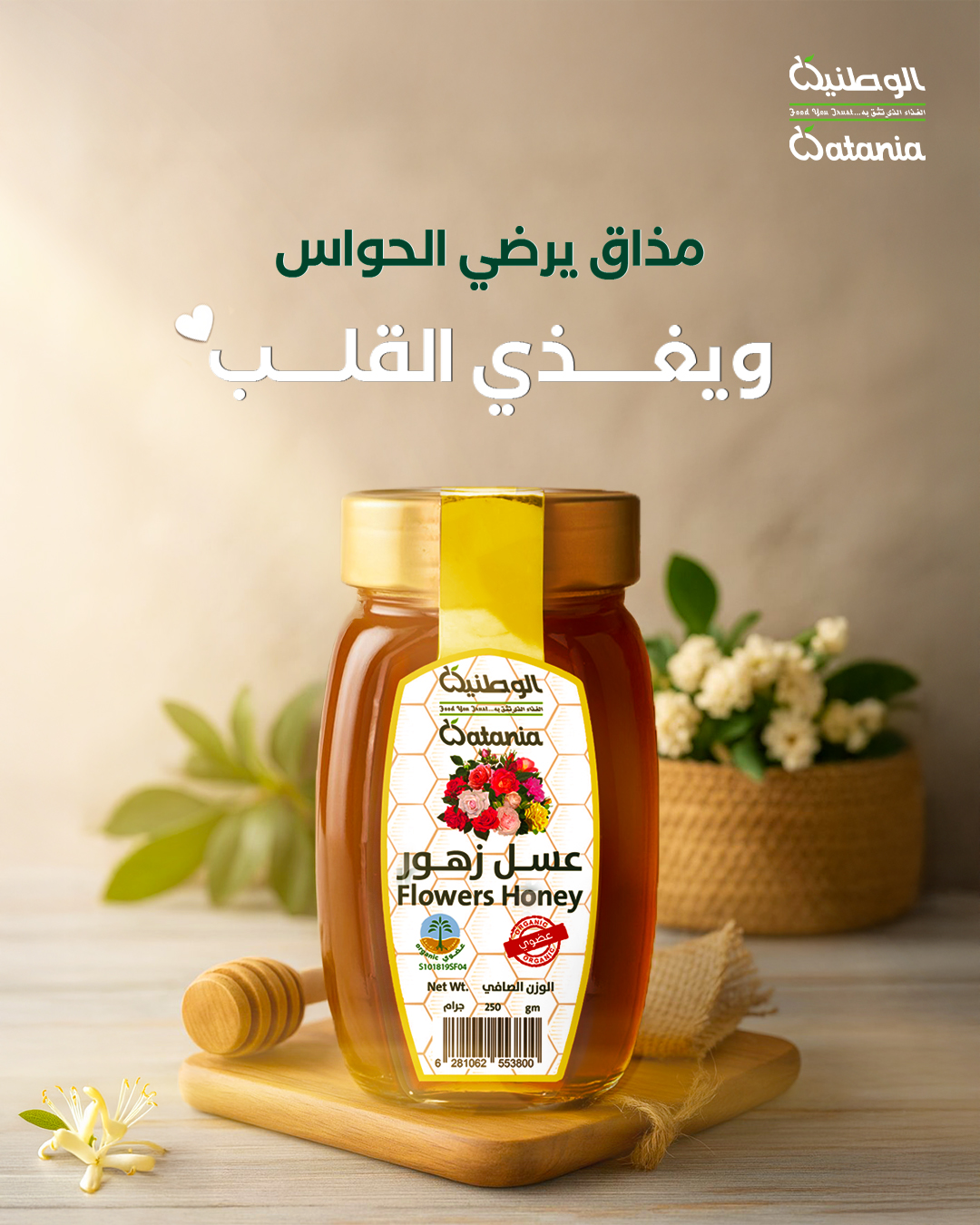 Social Media Design 2